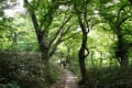 筑波山の花と風景に癒されて