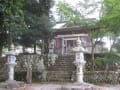 上之山田　八幡神社のシラカシ