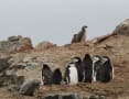 Laurie Island, South Orkney