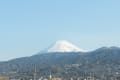 朝の散歩（駿河湾と富士山）