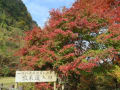 2016紅葉　一目八景（深耶馬渓）