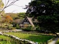 宮地獄神社の古民家と紅葉