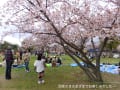 [20]0331-1454公園広場の花見客たち4.jpg