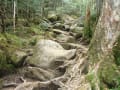 初夏の八ヶ岳～天狗岳からの眺め