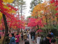 平林寺