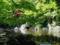13日本庭園の滝