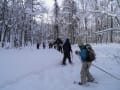 東川町大雪山愛護少年団　～天人峡くるみの沢～