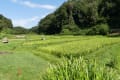 初秋の里山２０１８　～町田市図師～