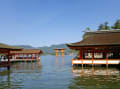 [130]広島　厳島神社