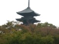 東寺[五重塔(国宝)]