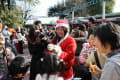 池田動物園　アニマルパレードにて