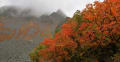 2017/10 どんより信州 in Autumn №2　～10.雨の涸沢、再び～