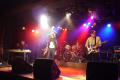 orange tail  live  in ACT(2012/2/12)