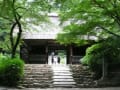 紫陽花寺　阿弥陀寺