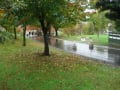 雨の旭山動物園