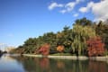 城山公園（堀之内公園）