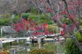 大仙公園内日本庭園の早春