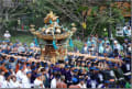 牛嶋神社例大祭大神輿渡御