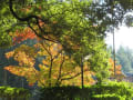 山口の風景