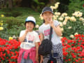 2012/5/26うつぼ公園、薔薇園で