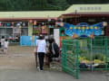 志比南幼児園「夕涼み会」