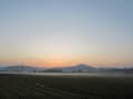 百舌鳥と霧の風景