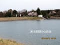 公渕公園の春、「満開の桜」！