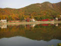 池に映る紅葉も綺麗