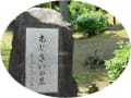 和歌山県橋本市　恋しの里の紫陽花