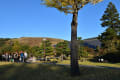 奈良公園散歩