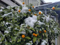 雪景色☆02