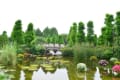 夏の水生植物公園みずの森  2012