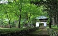 2012年濃緑の京都