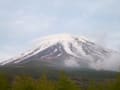 金環日食ツアーin富士山麓