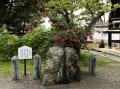 明日香の橘寺の石造物と花