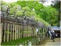 埼玉県加須市騎西　玉敷神社