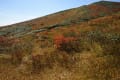 みちのくの紅葉山　5.東栗駒の草紅葉