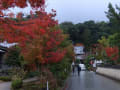 太宰府　光明禅寺　紅葉