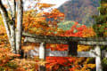 萌える紅葉2013＠栃木県鹿沼市古峯神社「古峯園」