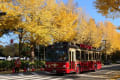 日本大通り・横浜公園