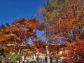 kurokura.2012.11.25.sun