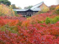 紅葉の散策は「京都」！