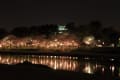 岡崎公園の夜桜　ライトアップ