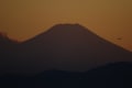 [20]H22.1.7富士山 072.jpg