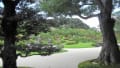 庭園日本一　足立美術館へ　kasuga