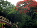 マカオ・香港・中国・風景PHOTO