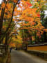 広島県三原市仏通寺の紅葉