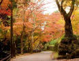 正暦寺（奈良市）と紅葉