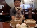 犬がOKの横浜中華街の店に行きました。