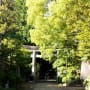 天祖神社・梅屋敷跡・やくし道